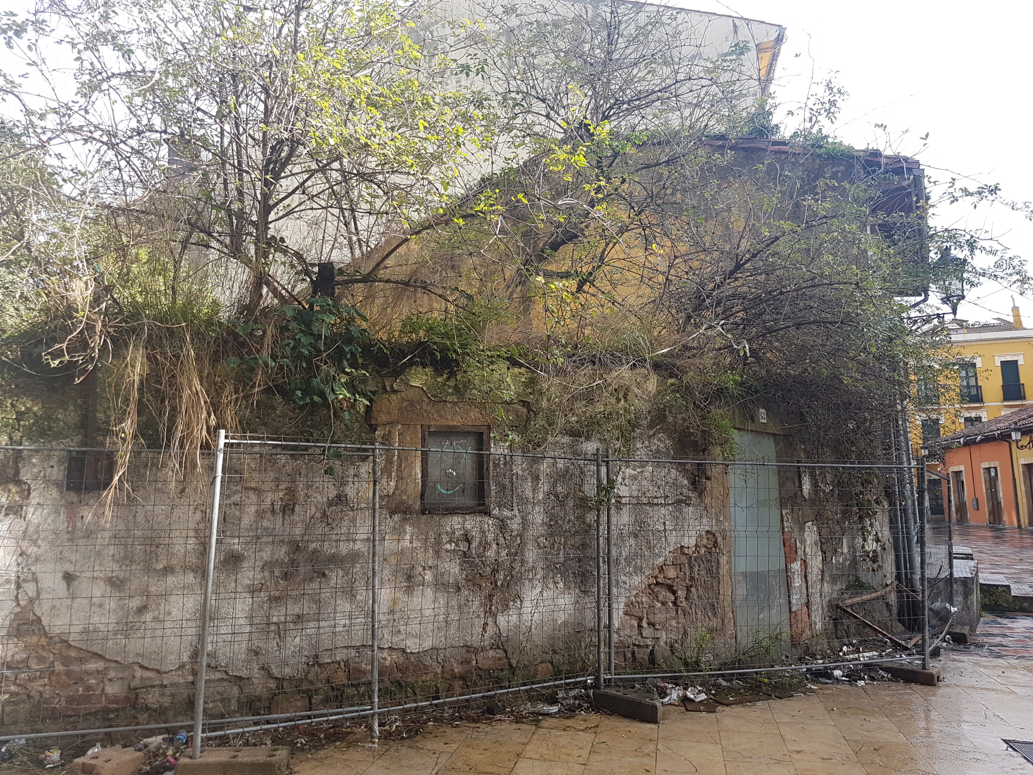 El Ayuntamiento limpiará subsidiariamente el solar del nº 18 de la calle Marcos del Torniello