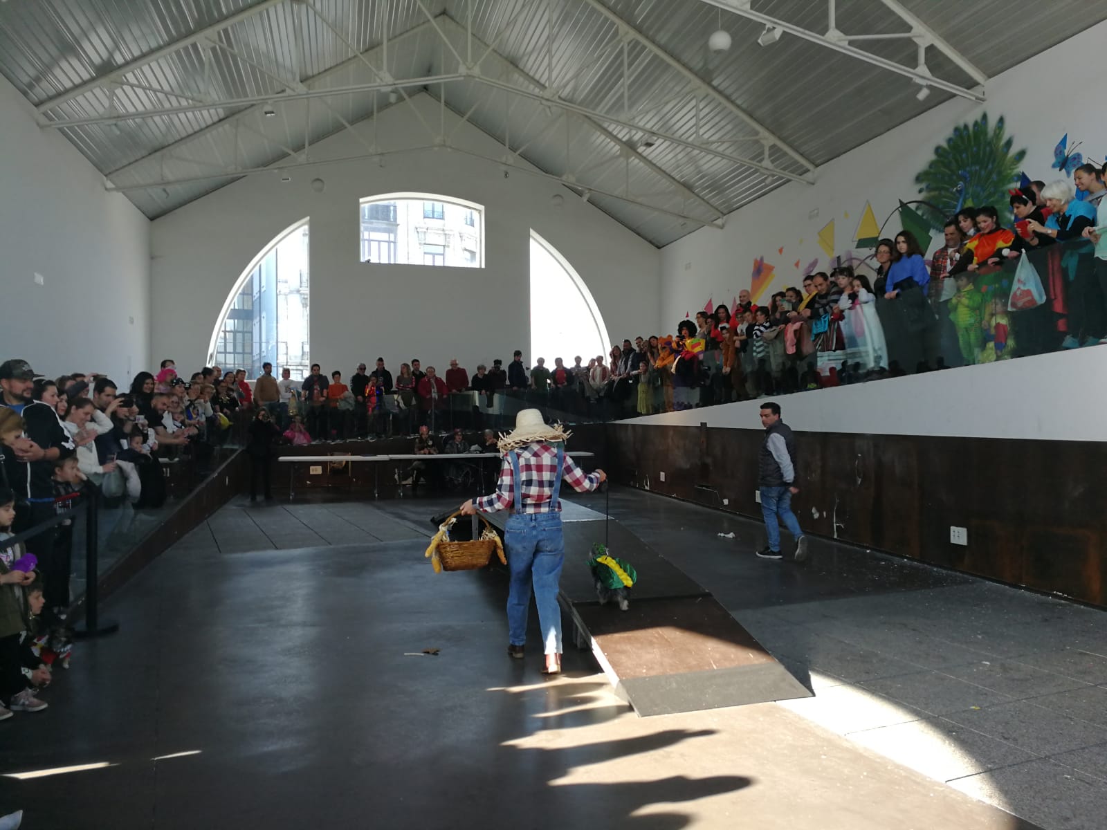 El chihuahua Coco gana el primer premio del III Concurso de Mascotes Antroxaes