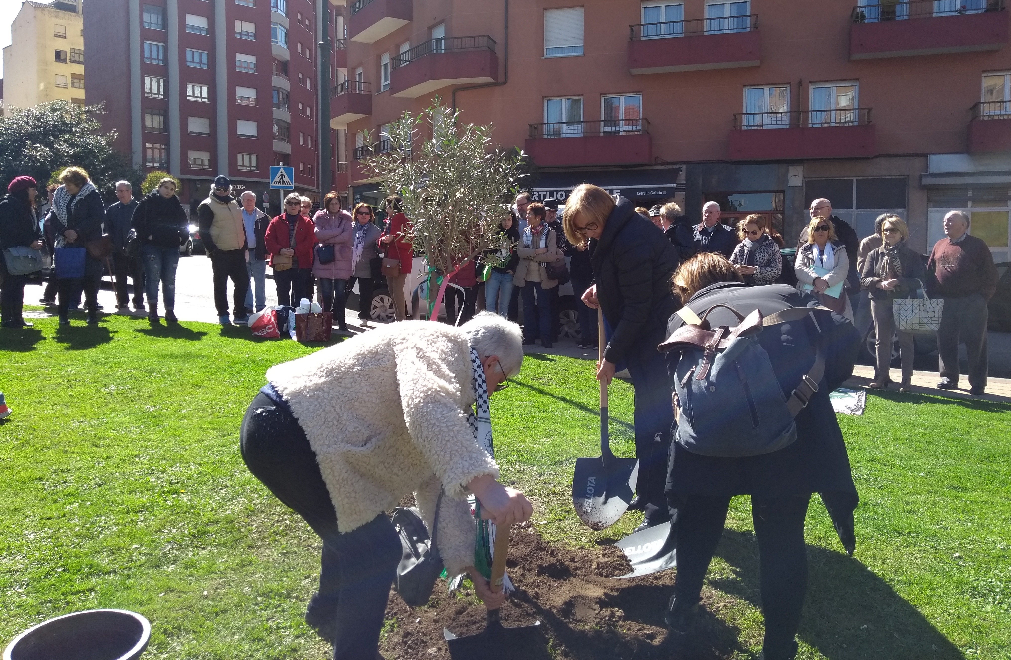 Avilés conmemora el Día de la Tierra Palestina con la plantación de un olivo en El Carbayedo