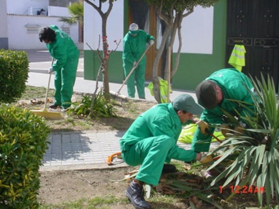 Foto Inserción Laboral